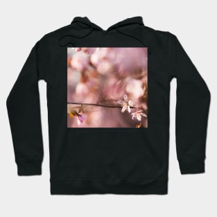 Cherry Blossom Hoodie